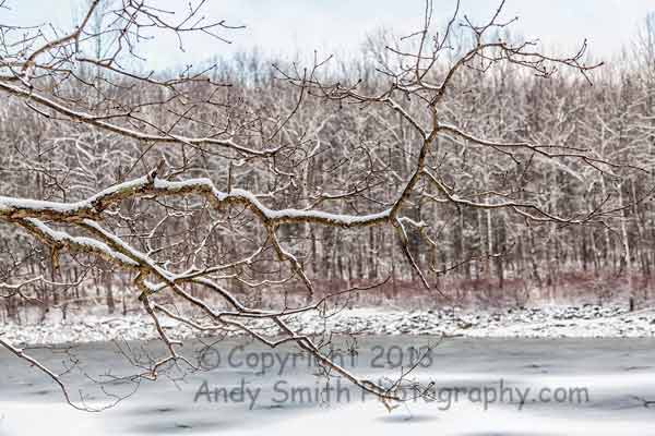 Spring Lake in the Winter